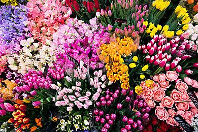 Embracer计划5亿美元出售Saber Interactive