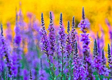 第一人称汽车恐怖游戏《Last mile》Steam页面 支持简中